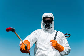 Best Bee and Wasp Removal  in Trenton, MI